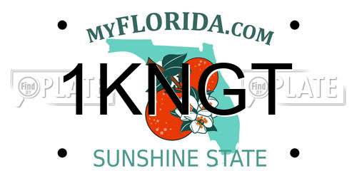 1KNGT Florida License Plate
