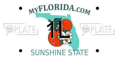 1L Florida License Plate