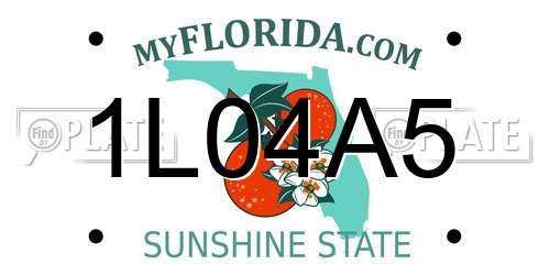 1L04A5 Florida License Plate