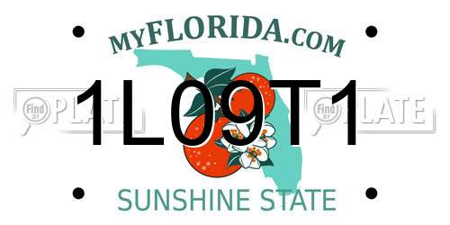 1L09T1 Florida License Plate