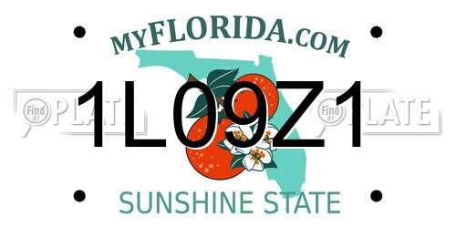 1L09Z1 Florida License Plate