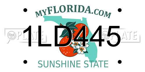 1LD445 Florida License Plate