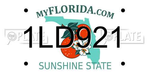 1LD921 Florida License Plate