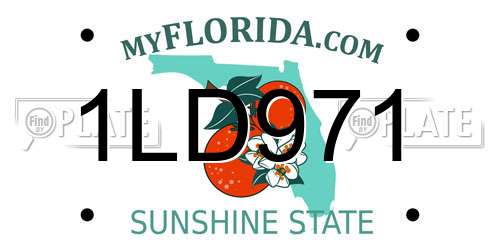 1LD971 Florida License Plate