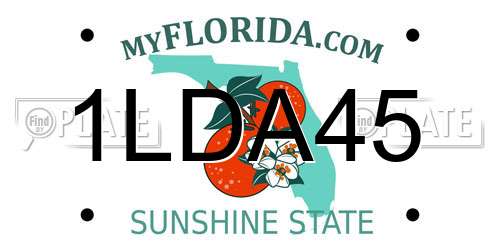 1LDA45 Florida License Plate