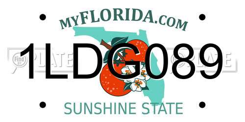 1LDG089 Florida License Plate