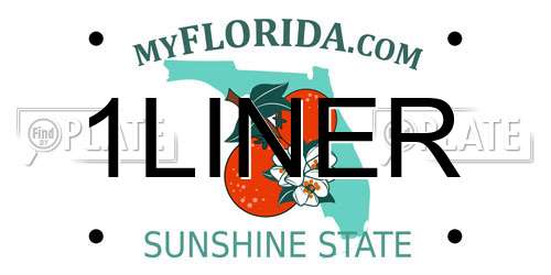 1LINER Florida License Plate