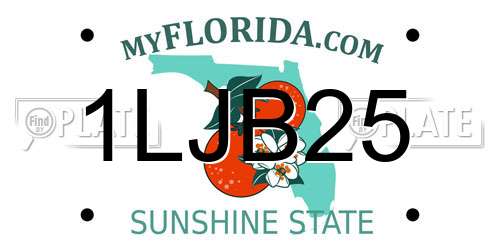 1LJB25 Florida License Plate