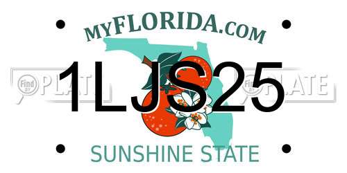1LJS25 Florida License Plate