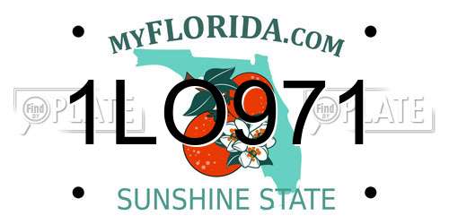 1LO971 Florida License Plate