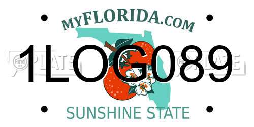 1LOG089 Florida License Plate