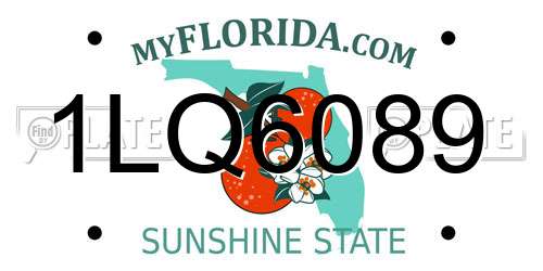 1LQ6089 Florida License Plate