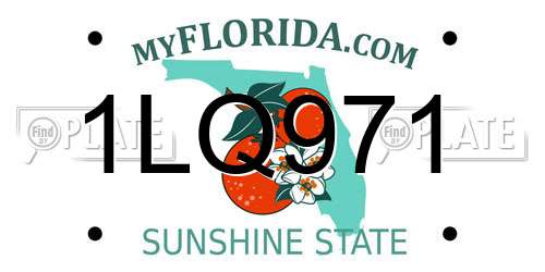1LQ971 Florida License Plate