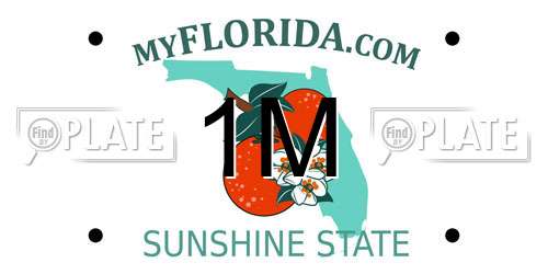 1M Florida License Plate