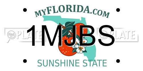 1MJBS Florida License Plate