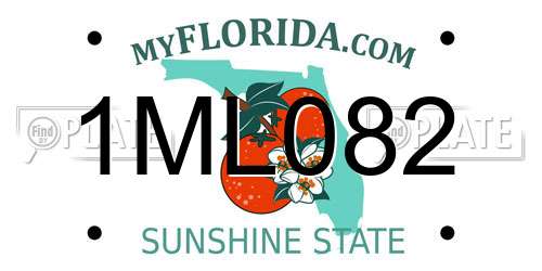 1ML082 Florida License Plate