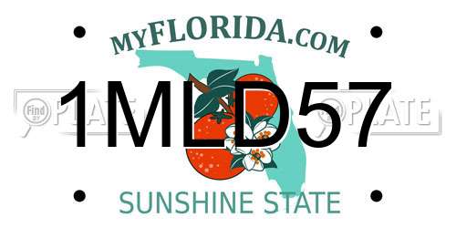 1MLD57 Florida License Plate