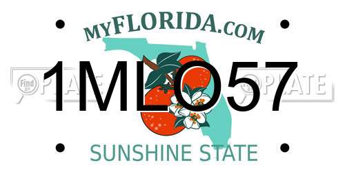 1MLO57 Florida License Plate