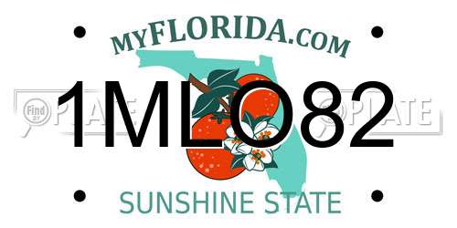 1MLO82 Florida License Plate