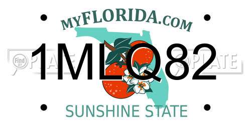 1MLQ82 Florida License Plate