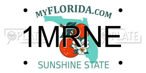 1MRNE Florida License Plate