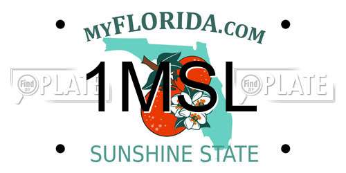 1MSL Florida License Plate