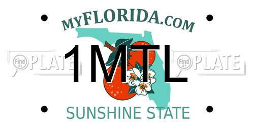1MTL Florida License Plate