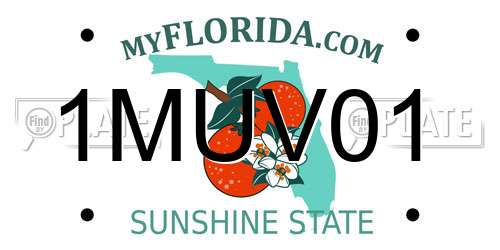 1MUV01 Florida License Plate