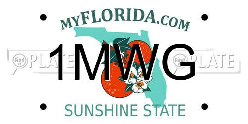 1MWG Florida License Plate
