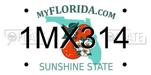 1MX314 Florida License Plate