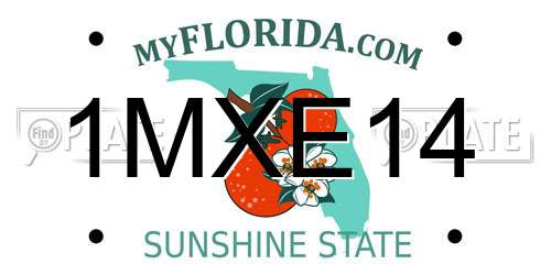 1MXE14 Florida License Plate