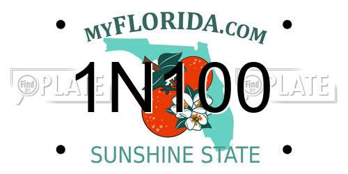 1N100 Florida License Plate
