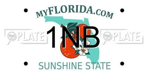 1NB Florida License Plate