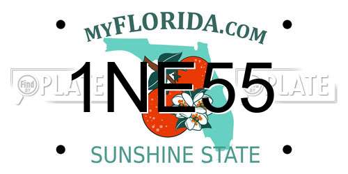 1NE55 Florida License Plate