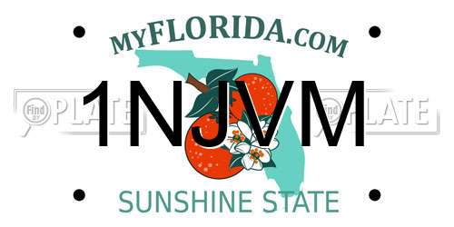 1NJVM Florida License Plate