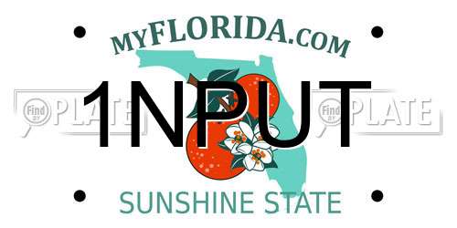 1NPUT Florida License Plate