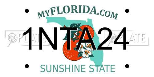 1NTA24 Florida License Plate