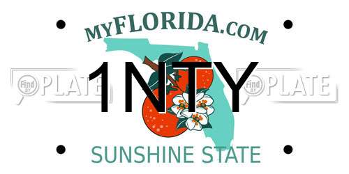 1NTY Florida License Plate