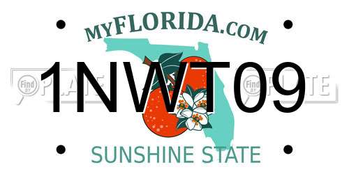 1NWT09 Florida License Plate