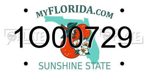 1O00729 Florida License Plate
