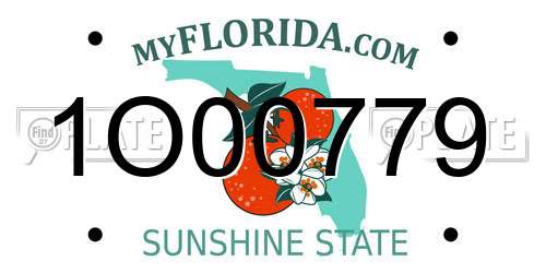 1O00779 Florida License Plate