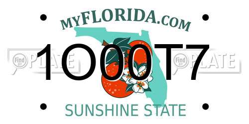 1O00T7 Florida License Plate