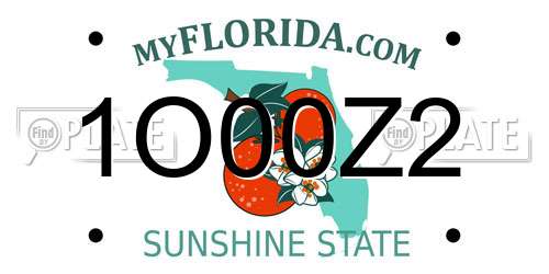 1O00Z2 Florida License Plate