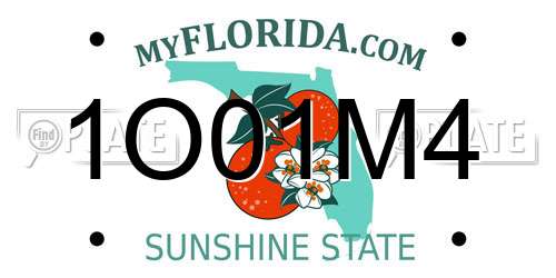 1O01M4 Florida License Plate