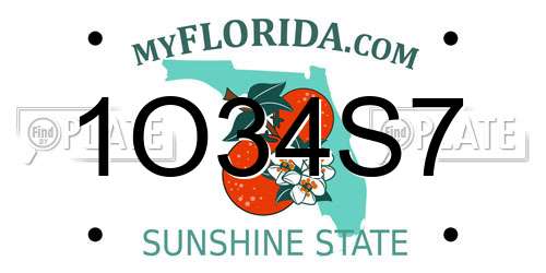 1O34S7 Florida License Plate