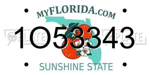 1O53343 Florida License Plate