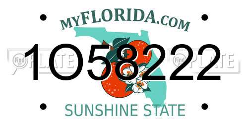 1O58222 Florida License Plate