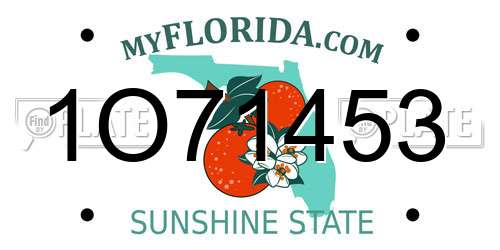 1O71453 Florida License Plate