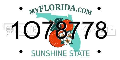 1O78778 Florida License Plate