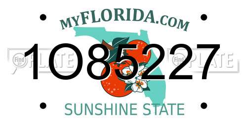 1O85227 Florida License Plate